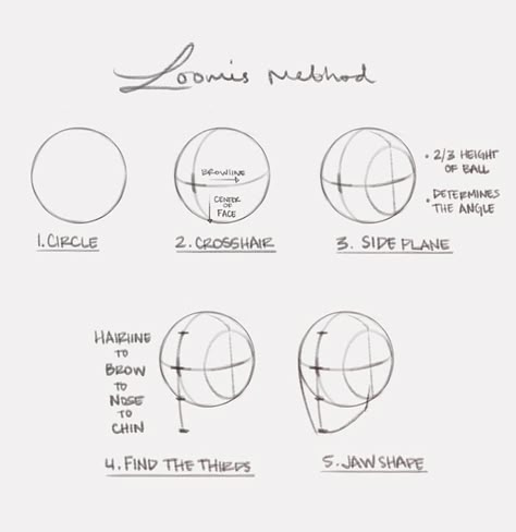 Loomis Method, Drawing The Human Head, Human Body Drawing, 얼굴 드로잉, Drawing Tutorial Face, 얼굴 그리기, Human Anatomy Drawing, Human Anatomy Art, Drawing Heads