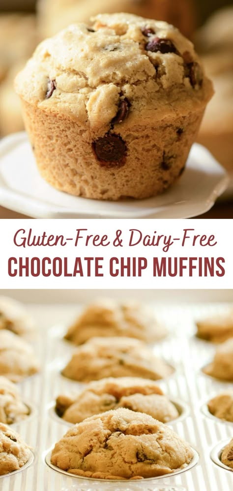 Gluten Free Mini Chocolate Chip Muffins, Easy Gluten Free Chocolate Chip Muffins, Gluten Free Dairy Free Chocolate Chip Muffins, Healthy Gluten Free Chocolate Chip Muffins, Gluten Free Choc Chip Muffins, Gluten Free Chocolate Chip Bread, Lactose Free Muffins, Gluten Free Oatmeal Chocolate Chip Muffins, Gf Chocolate Chip Muffins