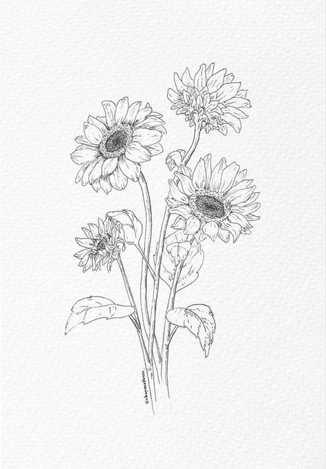 Gerbera Daisy Photos And Images Sunflower Bundle Tattoo, Sunflower Leaves Drawing, Sunflower Ink Drawing, Sunflower Pen Drawing, Sunflower Fine Line Drawing, Aesthetic Sunflower Tattoo, Sunflower Sketch Aesthetic, Flower Fine Line Drawing, Sunflower Vase Tattoo