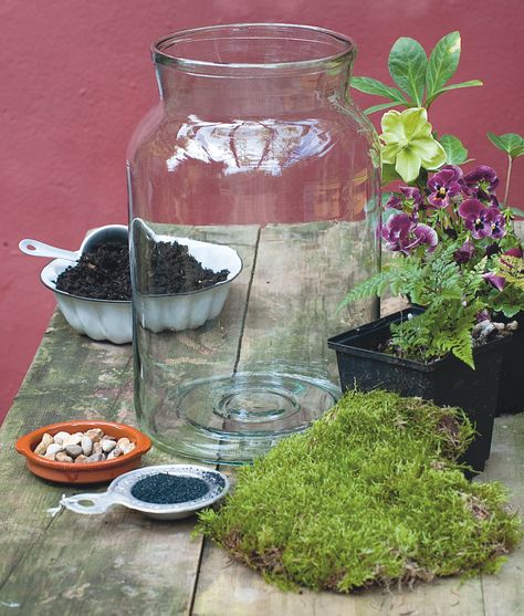 How to make a terrarium at home – 10 steps using succulents, moss and more | Real Homes Glass Jar Terrarium, Jar Terrarium, Orchid Terrarium, Open Terrariums, Terrarium Jar, Cactus Terrarium, Diy Terrarium, Succulent Garden Diy, Terrarium Ideas