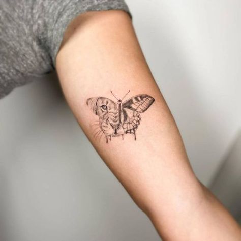 27 Easy Lion Tattoo Ideas: Simple yet Meaningful Designs - besttattoo.wiki - Unveiling Exquisite Ink Art Lion In Butterfly Tattoo, Lion With Butterfly Tattoo For Women, Lioness Butterfly Tattoo, Lioness And Butterfly Tattoo, Butterfly With Lion Face Tattoo, Leo Butterfly Tattoo, Butterfly And Lion Tattoo, Butterfly Meaningful Tattoo, Lioness Line Tattoo