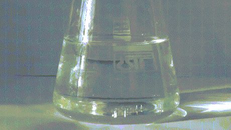 Potassium Iodide and Lead Nitrate aka Golden Rain Rain Gif, Potassium Iodide, Why So Serious, Visual Aids, Science Art, New Things To Learn, Science And Technology, Daily Dose, Chemistry