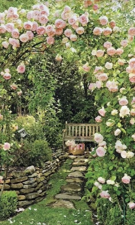 Hobbit Aesthetic, Garden Photoshoot, Yard Diy, Aesthetic Garden, English Cottage Garden, Diy Yard, English Cottage, Garden Fence, Backyard Ideas