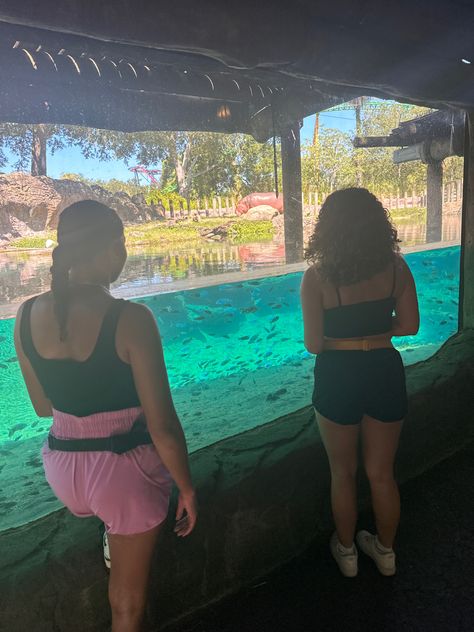 Busch gardens, Tampa, Florida , zoo, outfit idea, zoo inspo, Busch Gardens Outfit, Busch Gardens Tampa Outfit, Downtown Tampa Florida Aesthetic, Tampa Florida Beaches Pictures, Pic Inspo Instagram, Busch Gardens Tampa Pictures, Romantic Lifestyle, Zoo Outfit, Vacay Fits