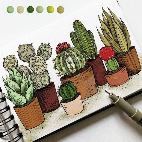 Alice on Instagram: “▫️7 plants ▫️ . Succulents 🌵colours added with @procreate app 🎨 . Steps: handdrawn plants + picture taken with my smartphone + open that…” Landscape Pencil Drawings, Pencil Creative, Botanical Line Drawing, Watercolor Beginner, Diy Journal Books, Plants Succulents, Art Drawings Sketches Pencil, Butterfly Drawing, Plant Drawing