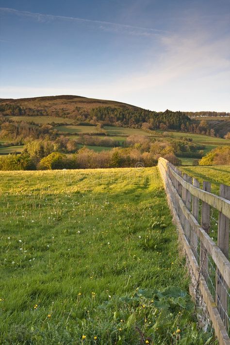 Farming in somerset. Quantock hills of somerset depicting a typical mixed farmin #Sponsored , #Advertisement, #Sponsored, #somerset, #hills, #mixed, #Quantock Quantock Hills, Post And Rail Fence, Rail Fence, A Typical, Somerset, Fence, Photo Image, Country Roads, Stock Photos