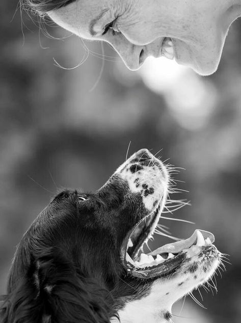 Dog Photography With Owner, Dog Lifestyle Photography, Dog Photography Ideas With Owner, Dog Photo Shoot Ideas, Dog Owner Photography, Dog Owner Photoshoot, Pet Photography Ideas, Dog Photography Ideas, Dog Birthday Photoshoot