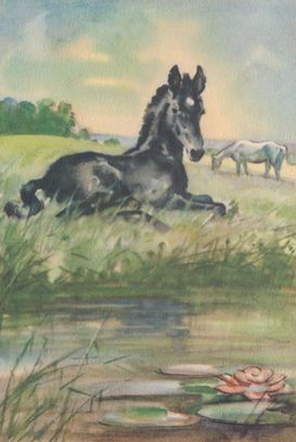 From Black Beauty by Anna Sewell Illustrated by Wesley Dennis The World Publishing Company 1946 Activity Template, Multisensory Activities, Literature Activities, Horse Paintings, Horse Inspiration, Horse Books, Horse Illustration, Horse Artwork, Equestrian Art