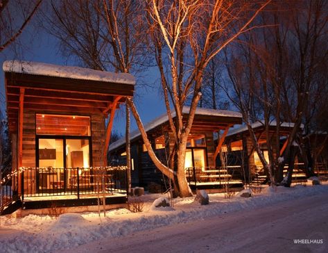 Check Out This Tiny Wedge of Comfort and Sophistication from Wheelhaus Small Cabins, Resort Cabins, Jackson Hole Wy, Ski Cabin, Park Model Homes, Tiny House Community, Luxury Tents, Jackson Hole Wyoming, Park Models