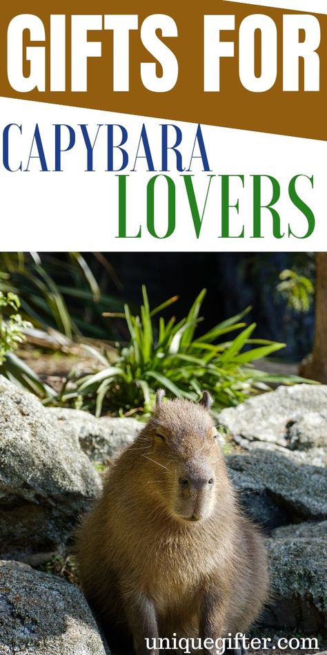 Gift Ideas For Capybara Lovers | Capybara Gifts | Capybara Lover Presents | Capybara Presents | Unique Capybara Presents | Creative Capybara Gift Ideas | #gifts #giftguide #presents #capybara #unique Milestone Birthday Gifts, Healthy Gift, Great Anniversary Gifts, 20 Gifts, Unique Gifts For Men, Neighbor Gifts, Modern Gift, Anniversary Gifts For Him, Unique Gift Ideas