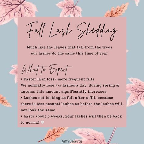 Fall lash shedding Lash Business Quotes, Fall Lash Quotes, Fall Lash Extensions, Lash Extension Care Tips, Lash Extensions Post Ideas, Lash Extension Posts, Lash Extensions Post, Lash Post Ideas, Lash Policies