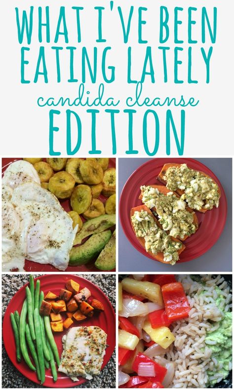 Yeast Free Diet Recipes, Mold Free Diet Recipes, Vegetarian Candida Diet Recipes, Yeast Elimination Diet, Candida Cleanse Meal Plan, Candida Diet Meal Plan, Parasite Cleanse Meal Plan, Candida Lunch Recipes, Mold Free Diet