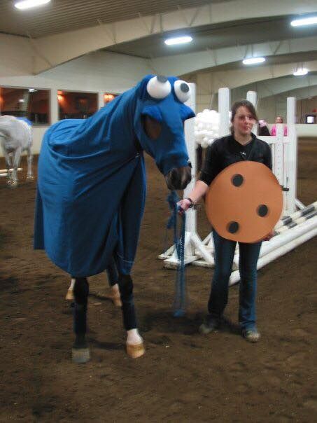 Mini Horse Costumes, Costume Contest With Horse, Brown Horse Costume Ideas, Cookie Monster Horse Costume, Horse Show Costume Ideas, Horse Custom Halloween, Cute Horse And Rider Costumes, Horse Dress Up Ideas Costumes, Horse And Person Halloween Costumes