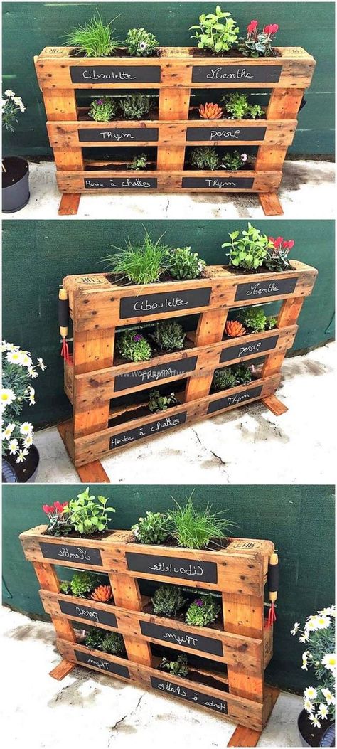 Pallet Garden Ideas Diy, Pallet Upcycling, Diy Pallet Decoration, Z Palette, Pallet Projects Garden, Woodworking Tools Router, Outdoor Pallet, Pallets Diy, Apartment Vibes