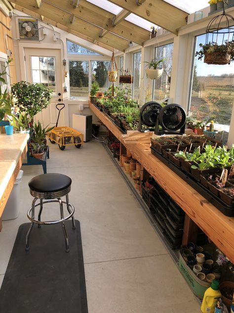 Garden In Sunroom, In Home Garden Ideas, Kitchen Garden With Greenhouse, Green Houses Interior, One Acre Garden, Closed In Garden, Porch Into Greenhouse, Garden Green House Ideas, Sunroom For Plants