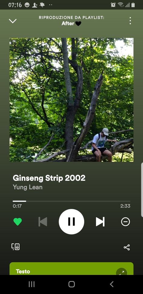 ❤️❤️❤️ Ginseng Strip 2002, Music