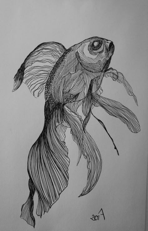 Fish Pen Drawing, Fish Ink Drawing, Goldfish Sketch, Goldfish Drawing, Easy Drawing Ideas For Beginners, Drawing Ideas For Beginners, Ink Pen Art, Scratchboard Art, Stippling Art