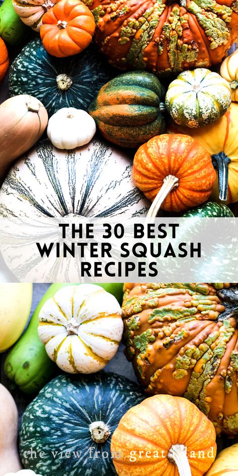 Pumpkins And Squash, Squash Pumpkin Recipes, Fall Recipes Squash, Acorn Butternut Squash Recipes, Whole Squash Recipes, Baked Winter Squash Recipes, Squash And Pumpkin Recipes, Recipes With Winter Squash, Onion Squash Recipes