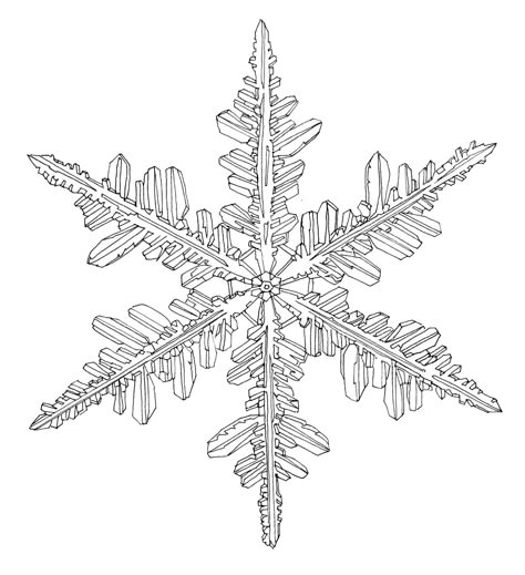 Detailed Snowflake Drawing, Snowflake Close Up, Snowflake Sketch, Frost Drawing, Snow Sketch, Snowflake Illustration, Snowflake Tattoo, Snowflake Mandala, Winter Tattoo