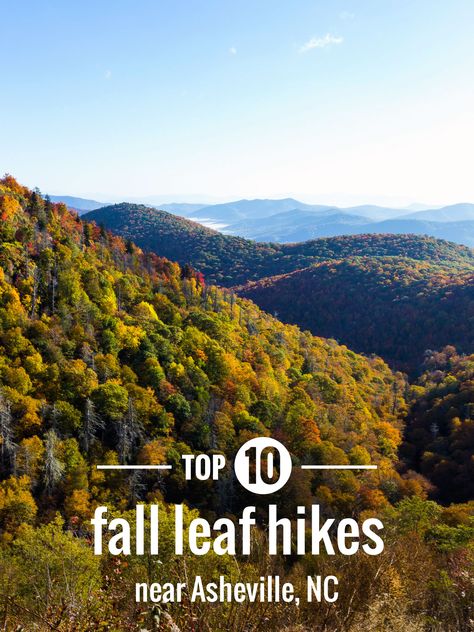 Top fall foliage hikes near Asheville and in the Western NC mountains: our favorite trails Asheville Nc Hiking, Asheville Hikes, Georgia Hiking, Hiking Usa, Hiking Fall, Fall Hikes, Autumn Adventures, Atlanta Travel, Florida Camping