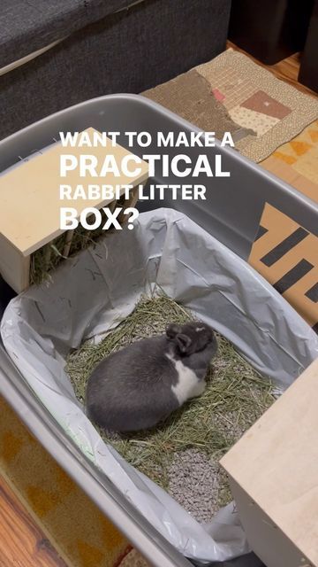 Diy Bunny Litter Box House Rabbit, Bunny Habitat Indoor Diy, Diy Bunny Enclosure, Diy Digging Box For Bunny, Rabbit Litter Box Ideas Hay Feeder, Litter Box For Rabbits, Diy Bunny Litter Tray, Diy Rabbit Litter Box And Hay Feeder, Rabbit Litter Box Ideas Diy