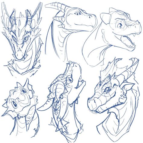 https://mobile.twitter.com/ChromamancerArt/status/873900045246115840/photo/1 Dragon Head Reference Front View, Dragon Expressions Faces, Dragon Laying Down, Dragon Side Profile, Dragon Expressions, Dragon Face Drawing, Dragon Knowledge, Dragon Head Art, Dragon Poses