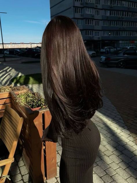 Chestnut Brown Hair, Long Dark Hair, Long Brown Hair, Beautiful Long Hair, Dark Brown Hair, Silky Hair, Dream Hair, Brunette Hair, Aesthetic Hair