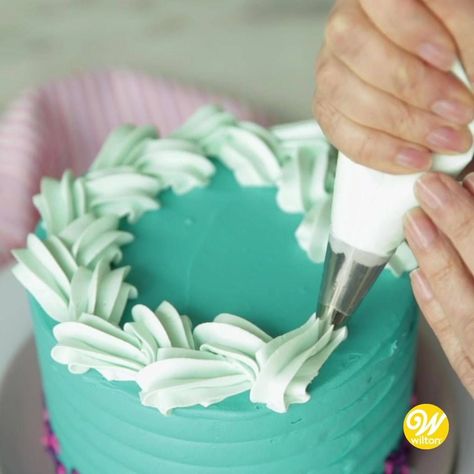 52K views · 1.5K reactions | How to Pipe a Braided Border | Top off your cake design with a unique, easy to pipe braided border using tip 1M! Find the written instructions here: http://ow.ly/Xd3X50yyXXJ | By Wilton Cake Decorating | Facebook Easy Icing, Frosting Techniques, Cake Piping, Torte Cupcake, Cake Decorating Piping, Creative Cake Decorating, Cake Decorating Frosting, Easy Cake Decorating, Cake Decorating Videos