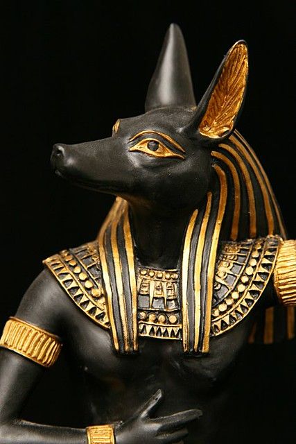 Egyptian Jackal, Starověký Egypt, Ancient Egyptian Artifacts, Ancient Egypt History, Egyptian Artifacts, Ancient Egypt Art, Egypt History, Egypt Art, Egyptian Mythology