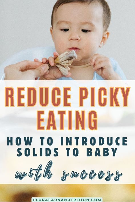 a baby eating chicken with text that says "reduce picky eating: how to introduce solids to baby with success" Introduce Solids To Baby, Starting Solids Baby, Baby 6 Months, Nutrition Consultant, Healthy Microbiome, Starting Solids, Introducing Solids, Picky Eating, Eating Right