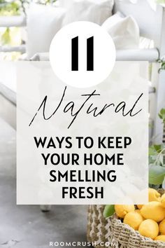 Fresh House Smell, Healthy Room, Best Plants For Bedroom, Smelling Good, House Smell Good, Natural Air Freshener, Room Freshener, Safe Room, Room Scents