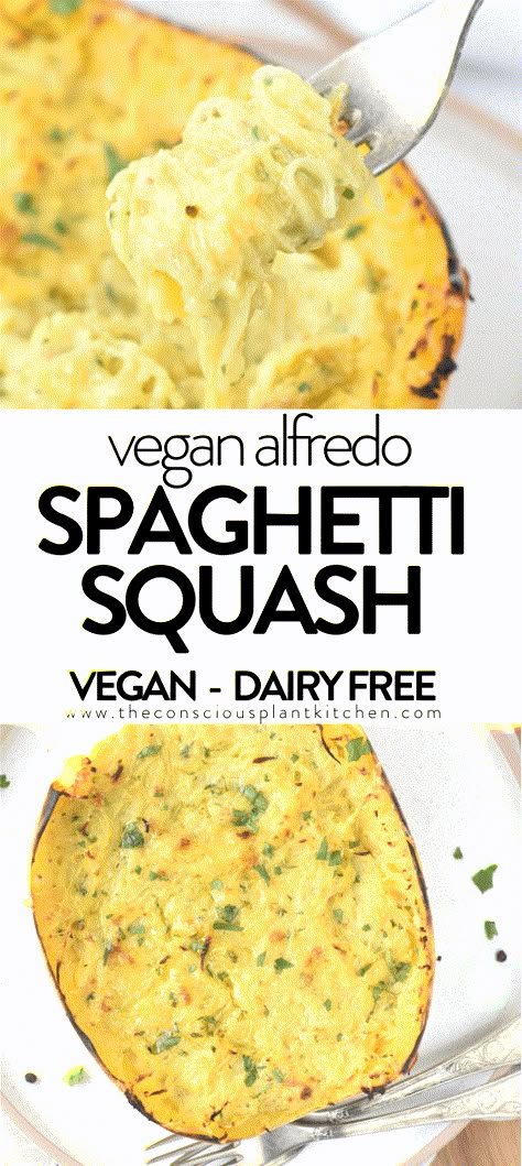 Spaghetti Squash Recipes Plant Based, Vegan Butternut Squash Alfredo, Gf Spaghetti Squash Recipes, Spaghetti Squash Coconut Milk, Tofu And Spaghetti Squash, Vegan Spaghetti Squash Recipes Easy, Gluten And Dairy Free Spaghetti Squash Recipes, Aip Spaghetti Squash Recipes, Wfpb Spaghetti Squash Recipes