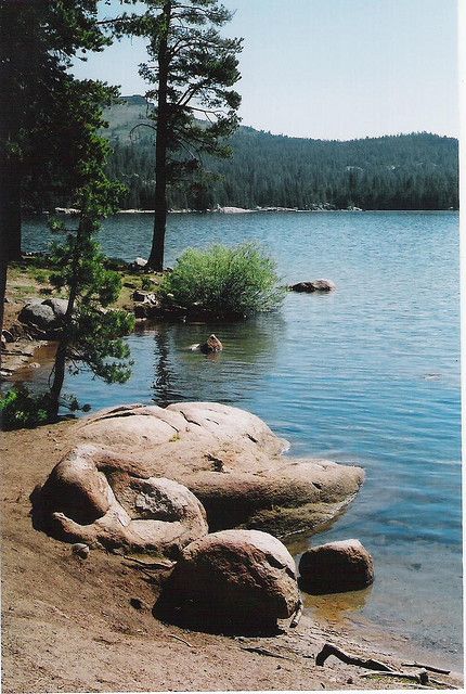 Lake Alpine, California - favorite camping spot as a kid Bear Valley California, Alpine California, Beautiful Places In The Us, Summer Planning, Snow Camping, San Bernardino Mountains, Travel Scenery, Lakes In California, Western Prints