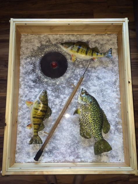 Ice Fishing End Table Ice Fishing Decor, Deer Mount Ideas, Fish Taxidermy, Euro Mounts, Fishing Table, Animal Mounts, Fish Mounts, Taxidermy Decor, Taxidermy Display