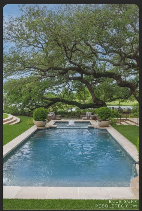 French Pool, Small Swimming Pool, Living Pool, Big Pools, Pool Inspiration, Pool Finishes, Small Swimming Pools, Pool Remodel, Natural Swimming Pools