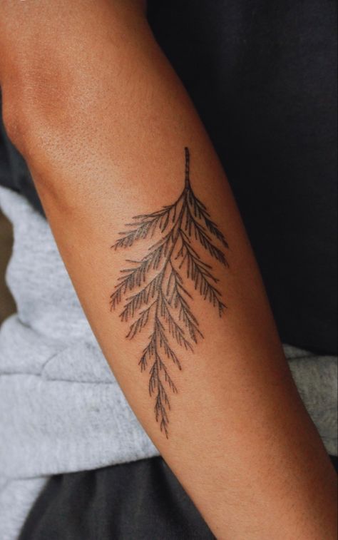 Redwood Leaf Tattoo, Cool Nature Tattoos For Guys, Cedar Sprig Tattoo, Cedar Leaf Tattoo, Western Red Cedar Tattoo, Red Pine Tattoo, Red Cedar Tattoo, Granola Aesthetic Tattoo, Pine Tree Branch Tattoo