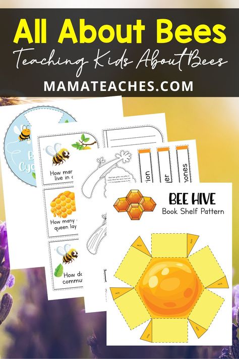 World Bee Day Activities For Kids, 1st Grade Bee Activity, Bee Unit Study, Bee Pollination Stem Activity, Diy Bees, Bee Facts For Kids, Bee Inquiry Kindergarten, Learning About Bees, Bee Inquiry