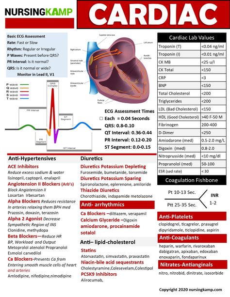 Cardiac Pages Done For Med Surg 1 Clinical Brain Sheet Book! Nursing Med Surg Cheat Sheets, Cardiac Meds Cheat Sheets, Nurse Instructor, Cath Lab Nursing, Cardiac Assessment, Nursing Lifestyle, Er Nursing, Cardiac Anatomy, Nursing School Studying Cheat Sheets