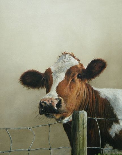 Annabelle Lanfermeijer Nguni Cattle, Cow Paintings, Hereford Cattle, Regnul Animal, Cow Pictures, Farm Art, Cow Painting, Cow Art, Cute Cows