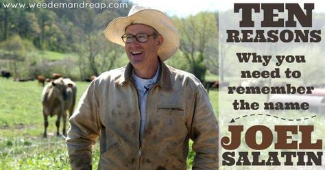 10 Reasons Why you need to remember the name Joel Salatin https://www.weedemandreap.com/10-reasons-need-remember-name-joel-salatin/ Joel Salatin, Young Farmers, Environmental Law, Animal Activist, Remember The Name, My Town, Save Earth, 10 Reasons, Amazing Quotes