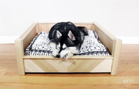 Kreg Tool | Innovative Solutions for All of Your Woodworking and DIY Project Needs Dog Bed Frame, Retro Side Table, Wooden Dog Bed, Pet Diy, Diy Dog Bed, Bazaar Ideas, Dog Things, Wooden Dog, Wood Dog