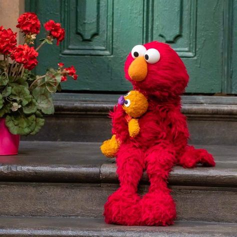 Elmo Cute, Elmo Pictures, Elmo Wallpaper, Elmo And Friends, Elmo World, Elmo Sesame Street, Sesame Street Muppets, Bert & Ernie, Funny Feeling