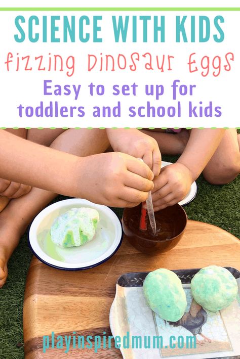 How To Make Fizzy Dinosaur Eggs, Fizzy Dino Eggs, Fizzy Dinosaur Eggs, Dinosaur Stem, Prek Themes, Dinosaur Week, Egg Experiments, Science Experiment For Kids, Toddler Science Experiments