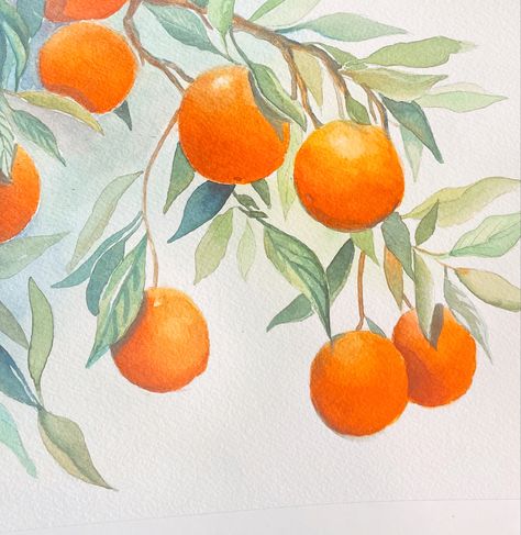 Orange Branch Painting, Orange Tree Watercolor, Orange Watercolor Painting, Oranges Artwork, Oranges Drawing, Kitchen Painting Art, Citrus Watercolor, Painted Oranges, Oranges Painting