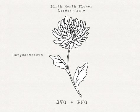 Chrysanthemum Flower Drawing, November Birth Month Flower, Chrysanthemum Drawing, Flower Cricut, Feather Clip Art, November Flower, November Birth Flower, Chrysanthemum Tattoo, Rose Tattoos For Women