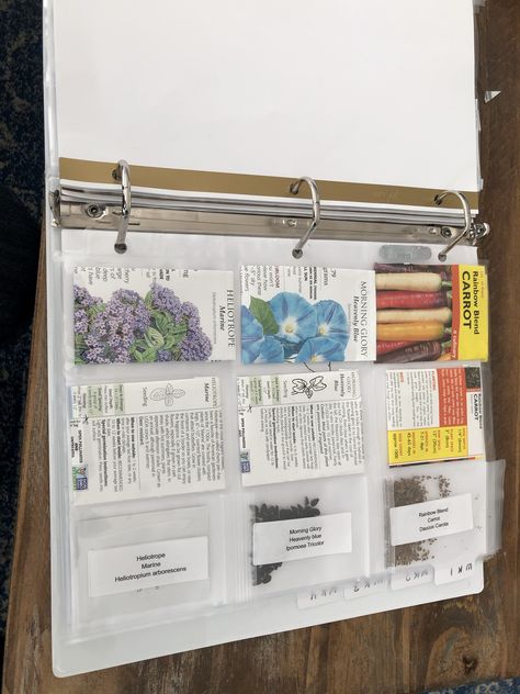 Seed Binder, Backyard Plans, Beginners Landscaping, Cut Flower Farm, Starting Seeds, Micro Greens, Backyard Plan, Garden Flower Beds, Rainbow Carrots