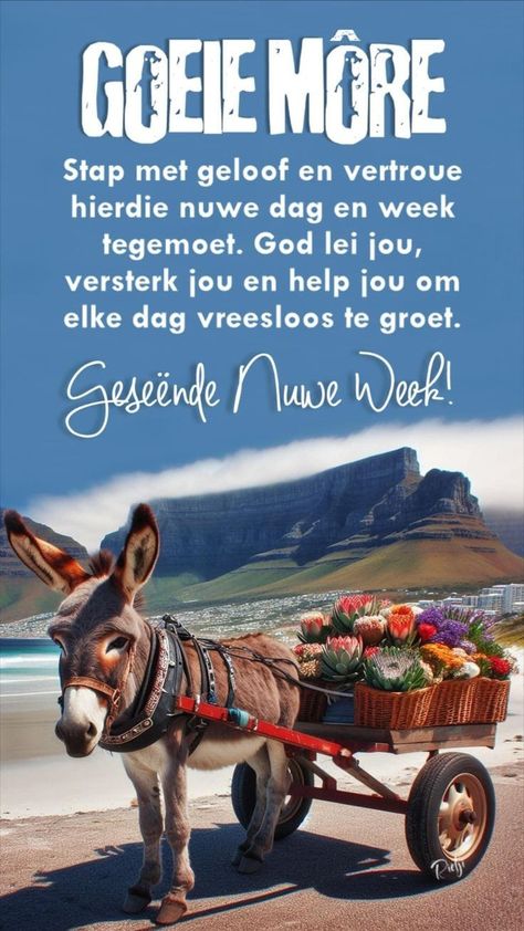 Nuwe Week, Happy Monday Images, Lilac Cottage, Good Morning Christmas, Morning Christmas, Monday Images, Morning Quotes For Friends, Daily Message, Sympathy Quotes