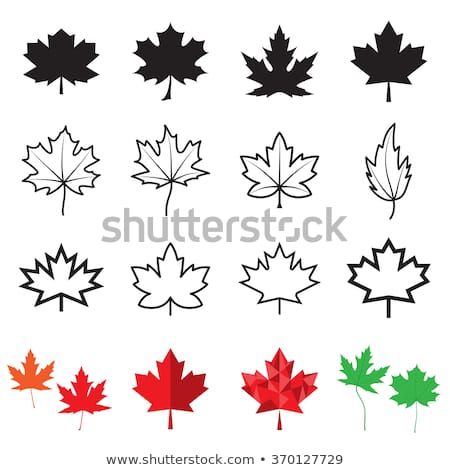 Simple Maple Leaf Tattoo, Small Canada Tattoo, Tiny Maple Leaf Tattoo, Canada Tattoo Ideas, La Tattoos Ideas, Fall Leaves Tattoo, Canadian Tattoo, Canada Tattoo, Medieval Tattoo