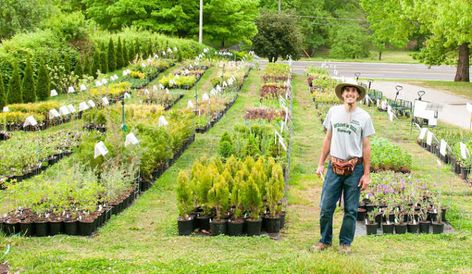 Mike Interviews a Very Successful Backyard Grower from Tennessee. - Mike's Backyard Nursery Backyard Nursery Business, Gardening In Tennessee, Starting A Plant Nursery At Home, Greenhouse Nursery Business, Plant A Forest In Backyard, Plant Nursery Ideas Greenhouses, Wholesale Plant Nursery, Fenced Vegetable Garden, Wholesale Plants