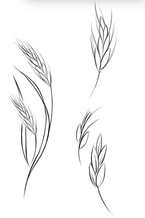 Simple Wheat Tattoo, Hay Tattoo, Wheat Tattoo, Black Widow Tattoo, Wrap Around Tattoo, Wheat Sheaf, Feather Tattoo Design, Amaryllis Flowers, Poppies Tattoo